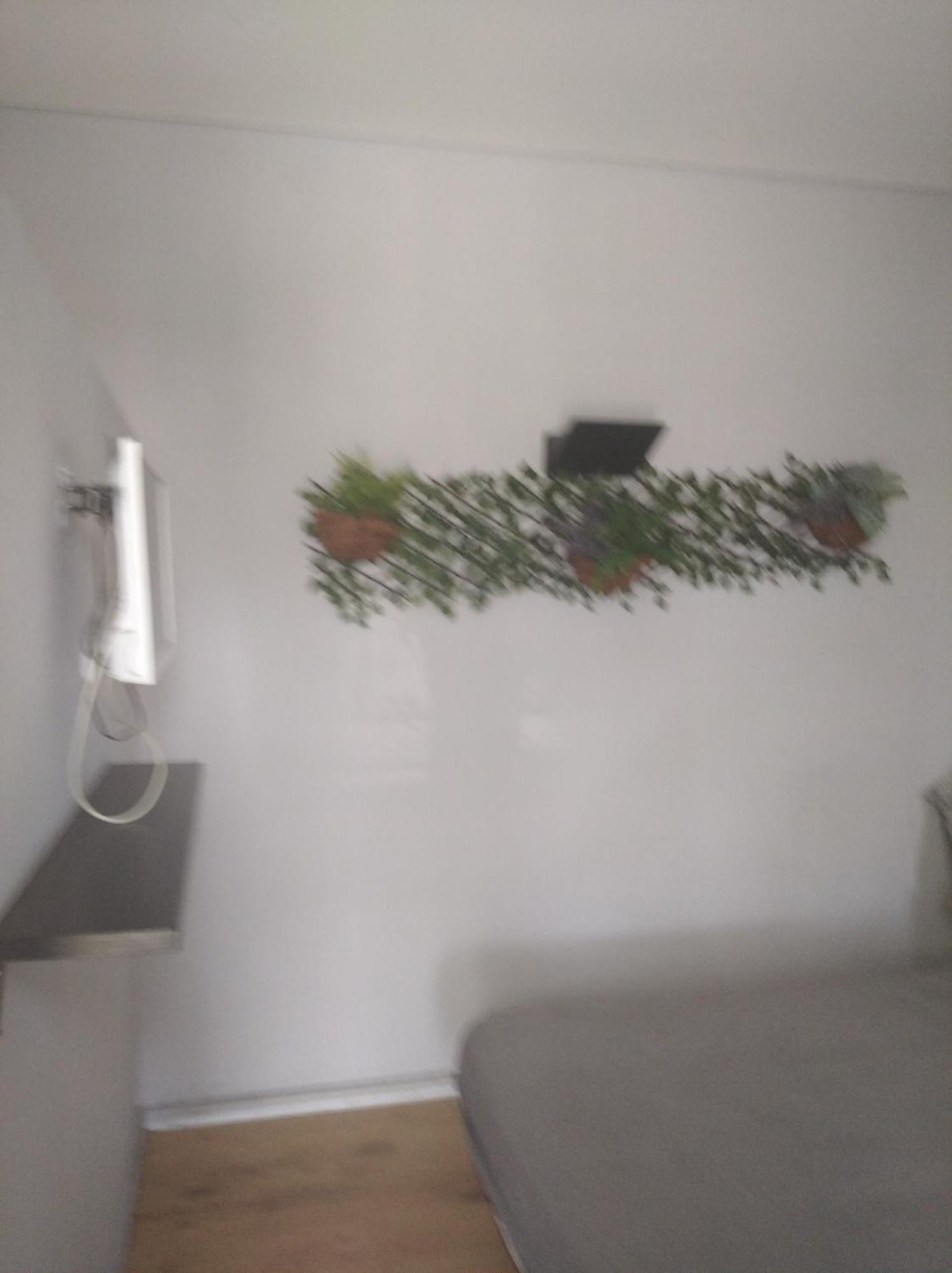 Porto Estudio Campanha Εξωτερικό φωτογραφία